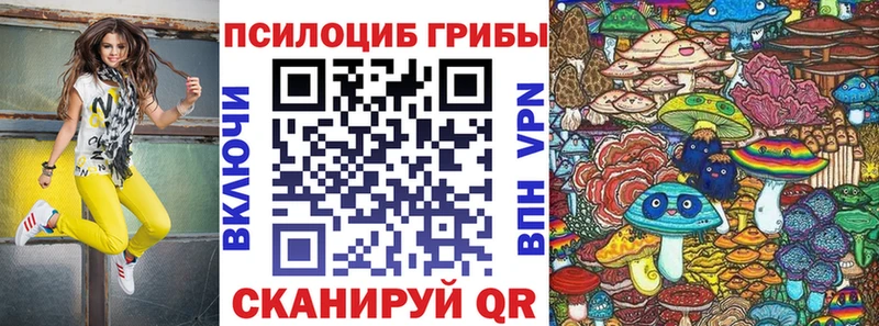 наркошоп  Бирск  даркнет официальный сайт  Галлюциногенные грибы прущие грибы 